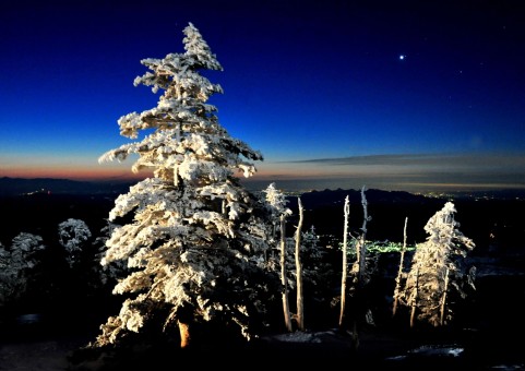 雪景色